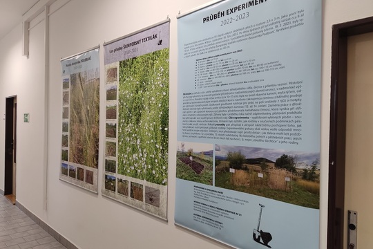 Výstava Experimentální pěstování obilovin 2022-2023